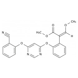 (Z)-Azoxystrobin R230310 Solution