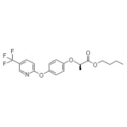 Fluazifop-P-butyl Solution
