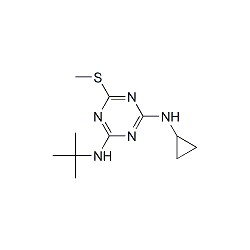 Cybutryne Solution