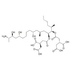 Fumonisin B1 Solution