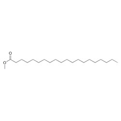 Eicosanoic acid-methyl ester