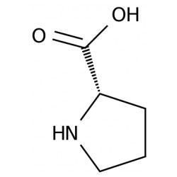 L-Proline Solution