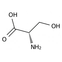 L-Serine Solution