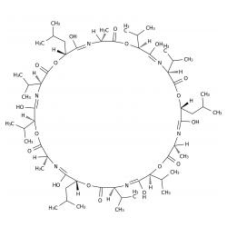 13C6-Cereulide Solution